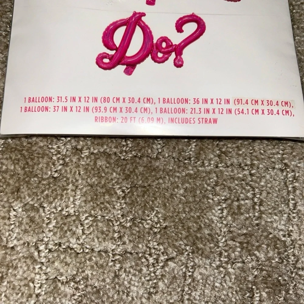 Dolly Parton what would